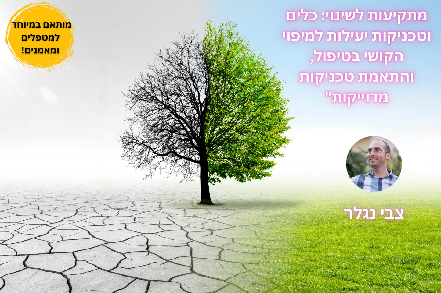 סדנת NLP דיגיטלית מתקיעות לשינוי - כלים וטכניקות יעילות למיפוי הקושי בטיפול, והתאמת טכניקות מדוייקות.
