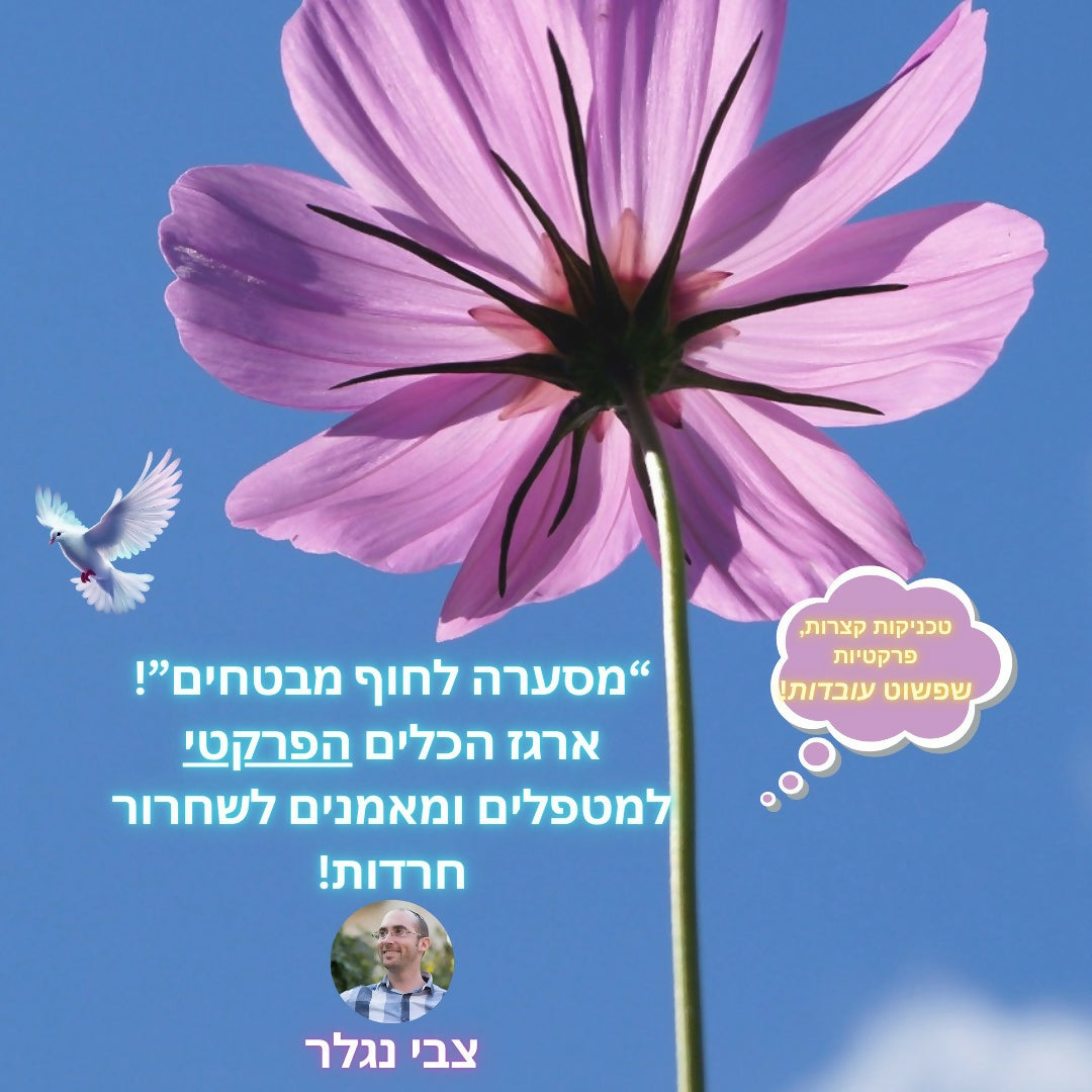 צבי ראשי