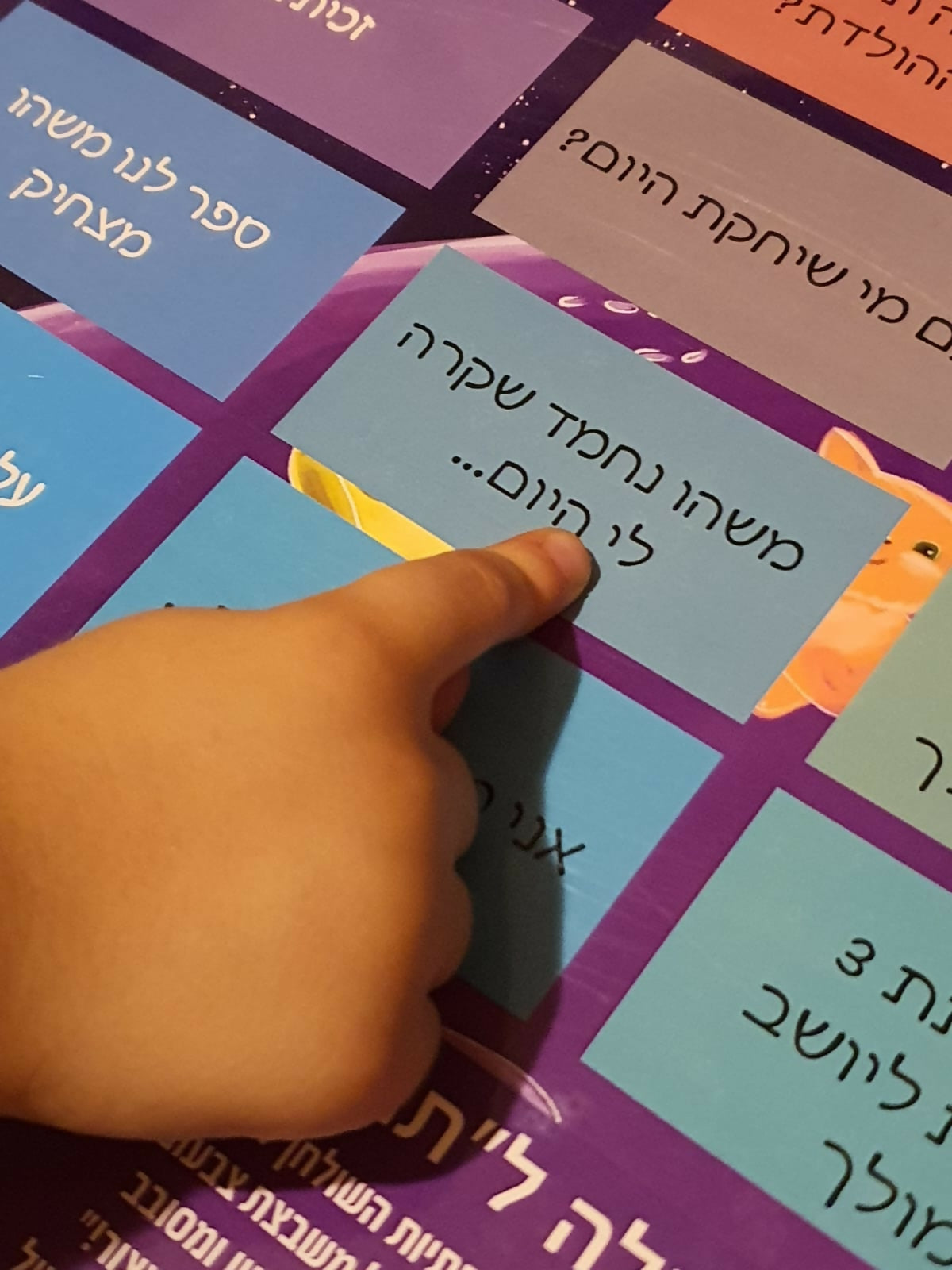 אתר 4 - שירי רבינוביץ