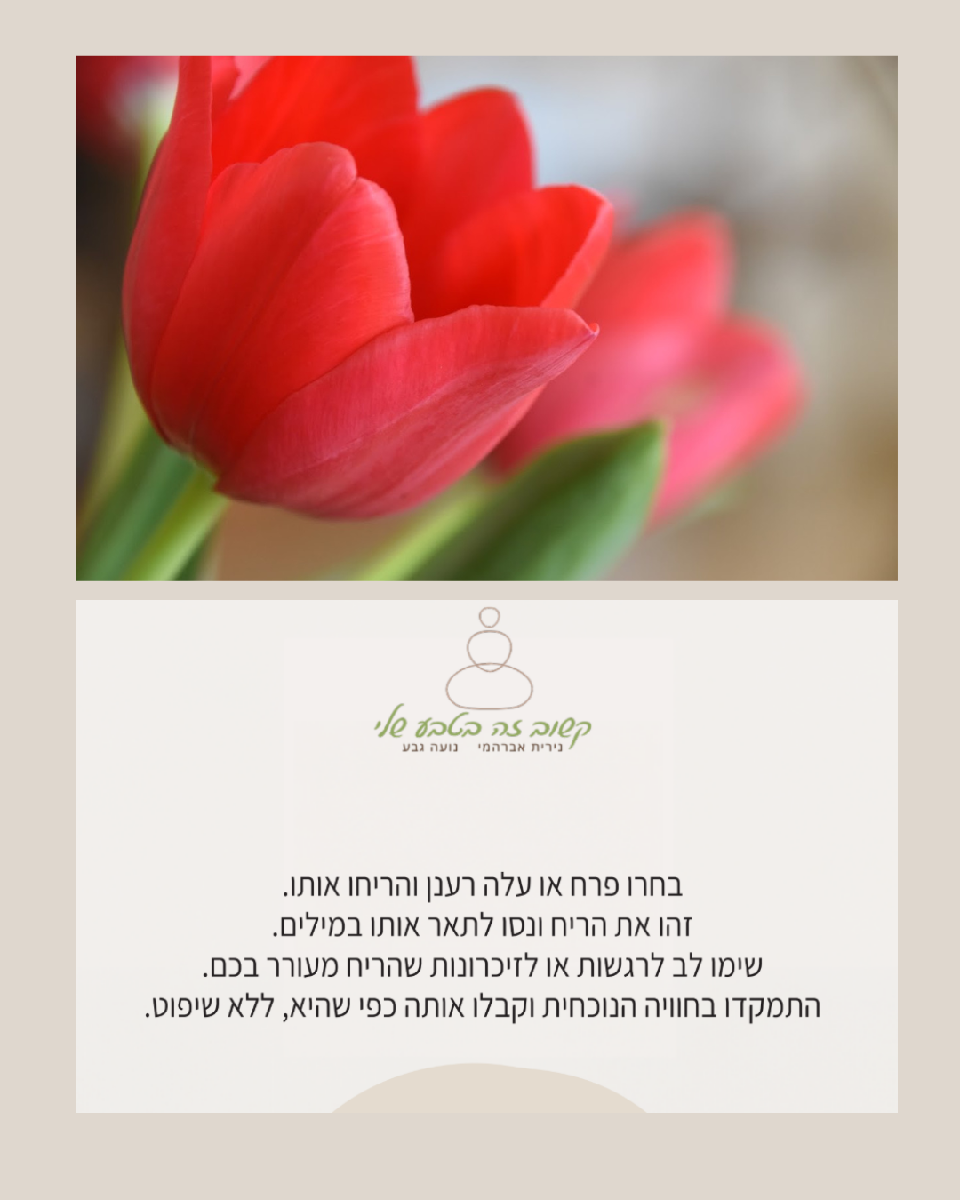 קלפי מיינדפולנס קשוב זה בטבע שלי - מסע אל הכאן והעכשיו